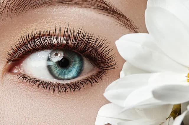 EYELASH EXTENSIONS